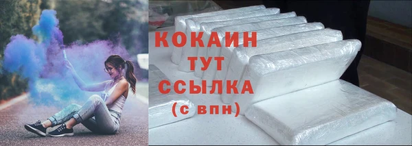соль ск Арсеньев