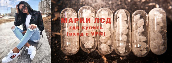 стаф Аркадак