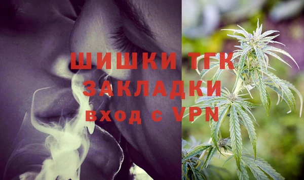 стаф Аркадак