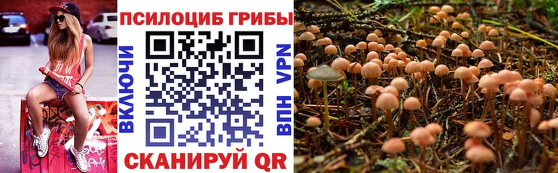 Купить  Игарка  Галлюциногенные грибы мицелий 